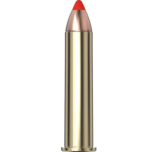 45-70 Government